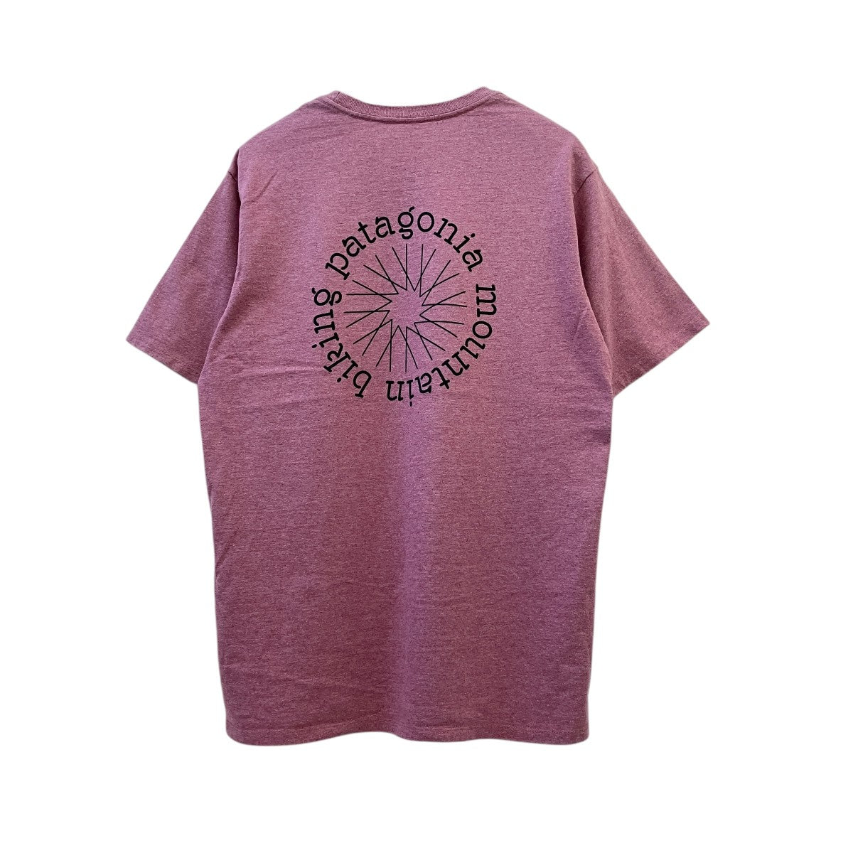 Patagonia 半袖Tシャツ37605 古着・中古-2枚目のアイテム画像