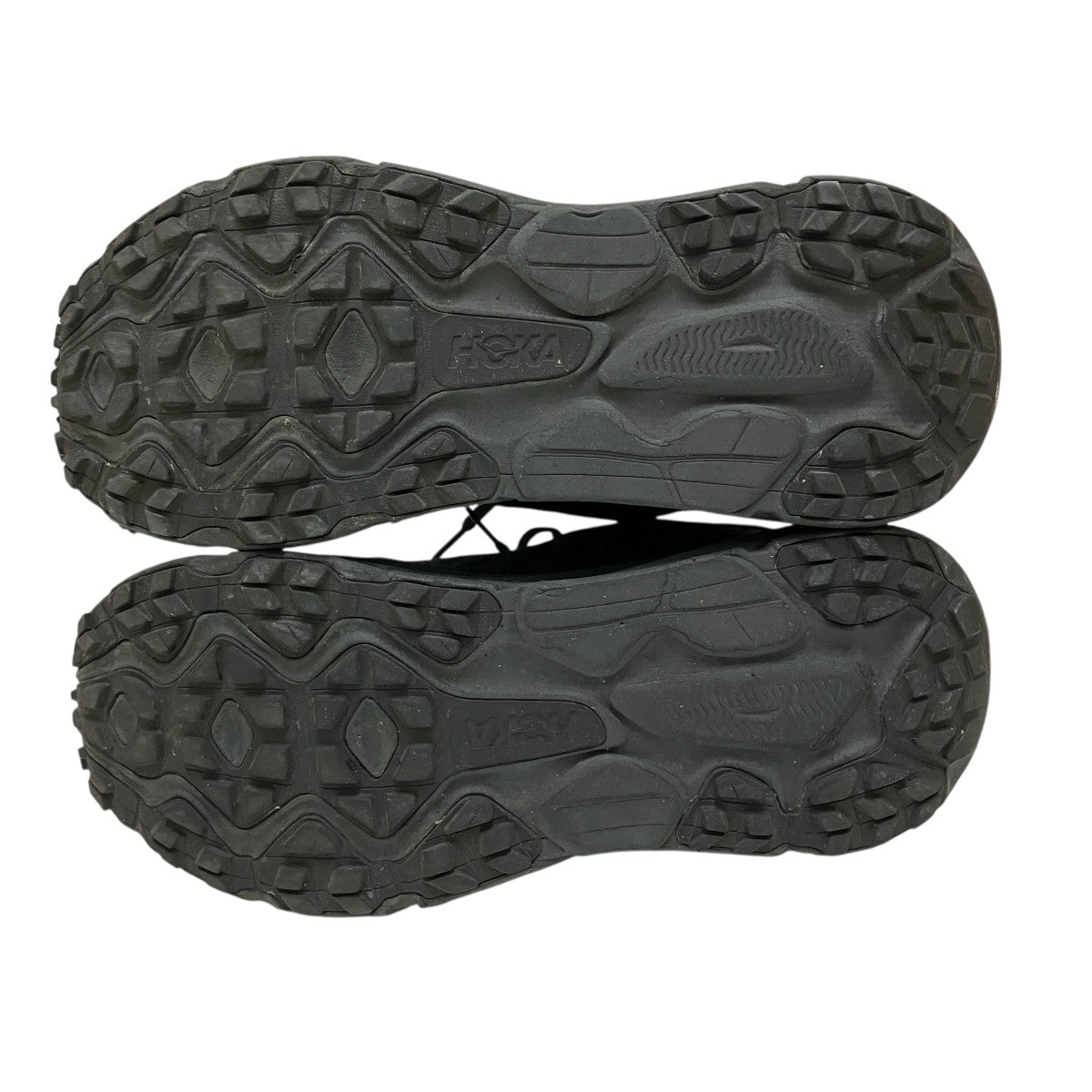 ボーノ 待望のマルチカラー、PIA77BON発表！ | マルチカラーの森