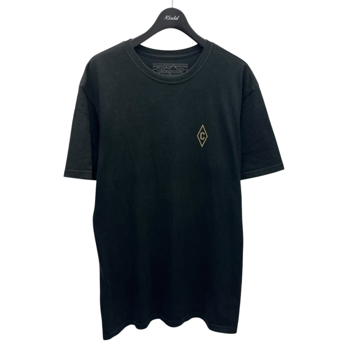 Patagonia Tシャツ 古着・中古-1枚目のアイテム画像