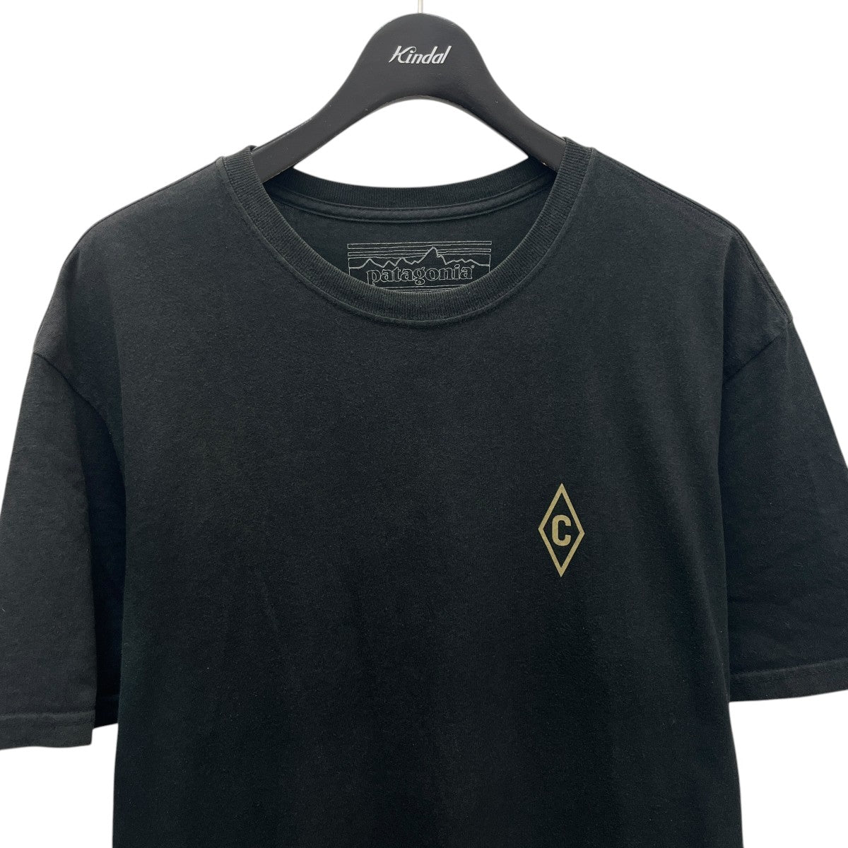 Patagonia Tシャツ 古着・中古-3枚目のアイテム画像