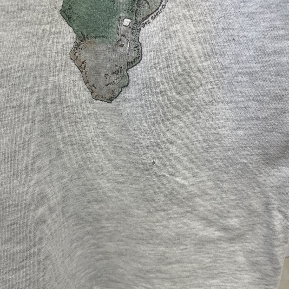 Hanes vintageTシャツ 古着・中古-4枚目のアイテム画像
