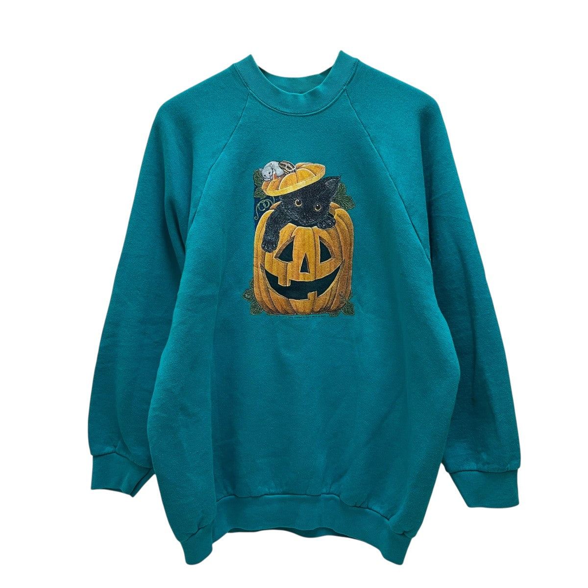 FRUIT OF THE LOOM 90s vintageクルーネックスウェット 古着・中古-1枚目のアイテム画像