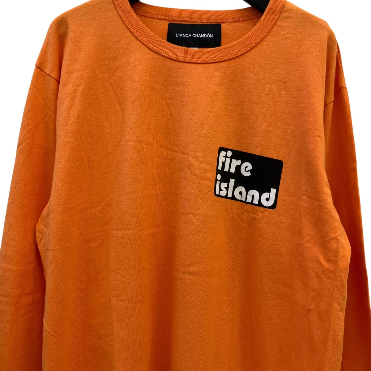 Bianca Chandon 長袖Tシャツ 古着・中古-3枚目のアイテム画像