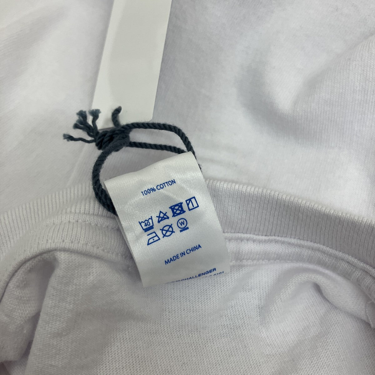CHALLENGER tシャツ 古着・中古-5枚目のアイテム画像