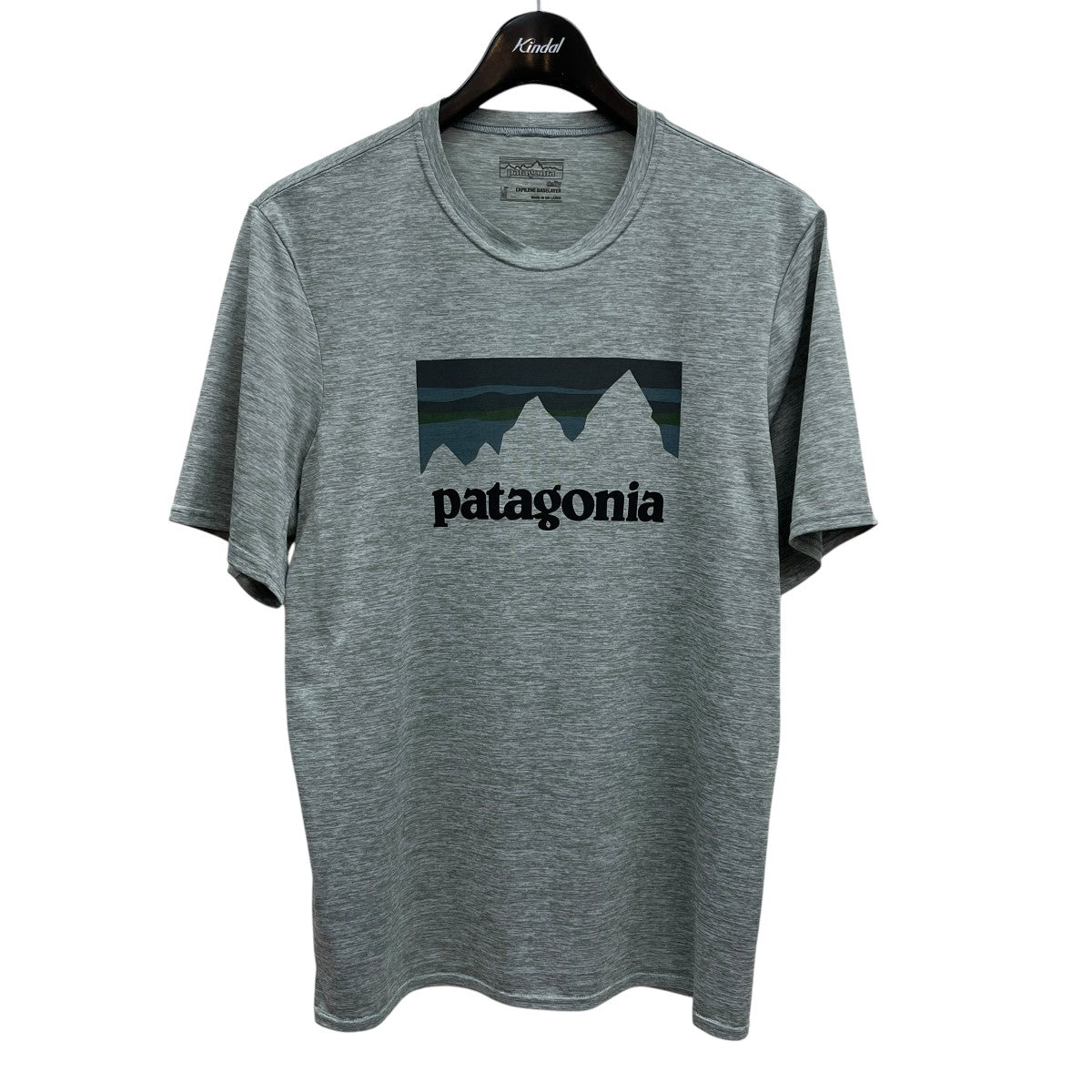 Patagonia 半袖Tシャツ 古着・中古-1枚目のアイテム画像
