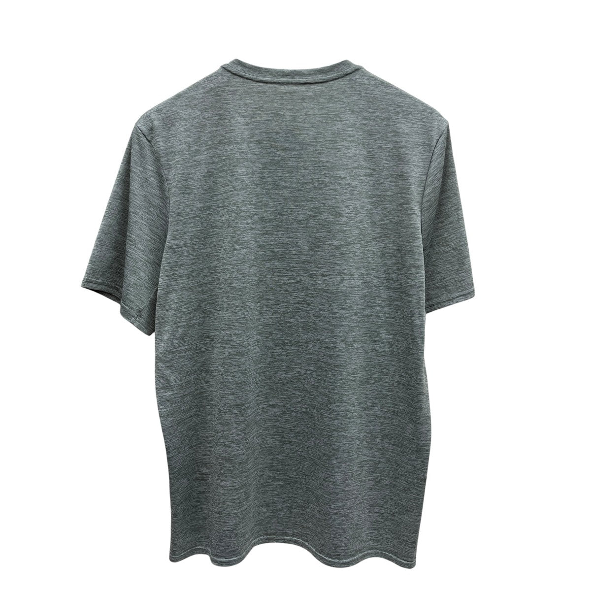 Patagonia 半袖Tシャツ 古着・中古-2枚目のアイテム画像