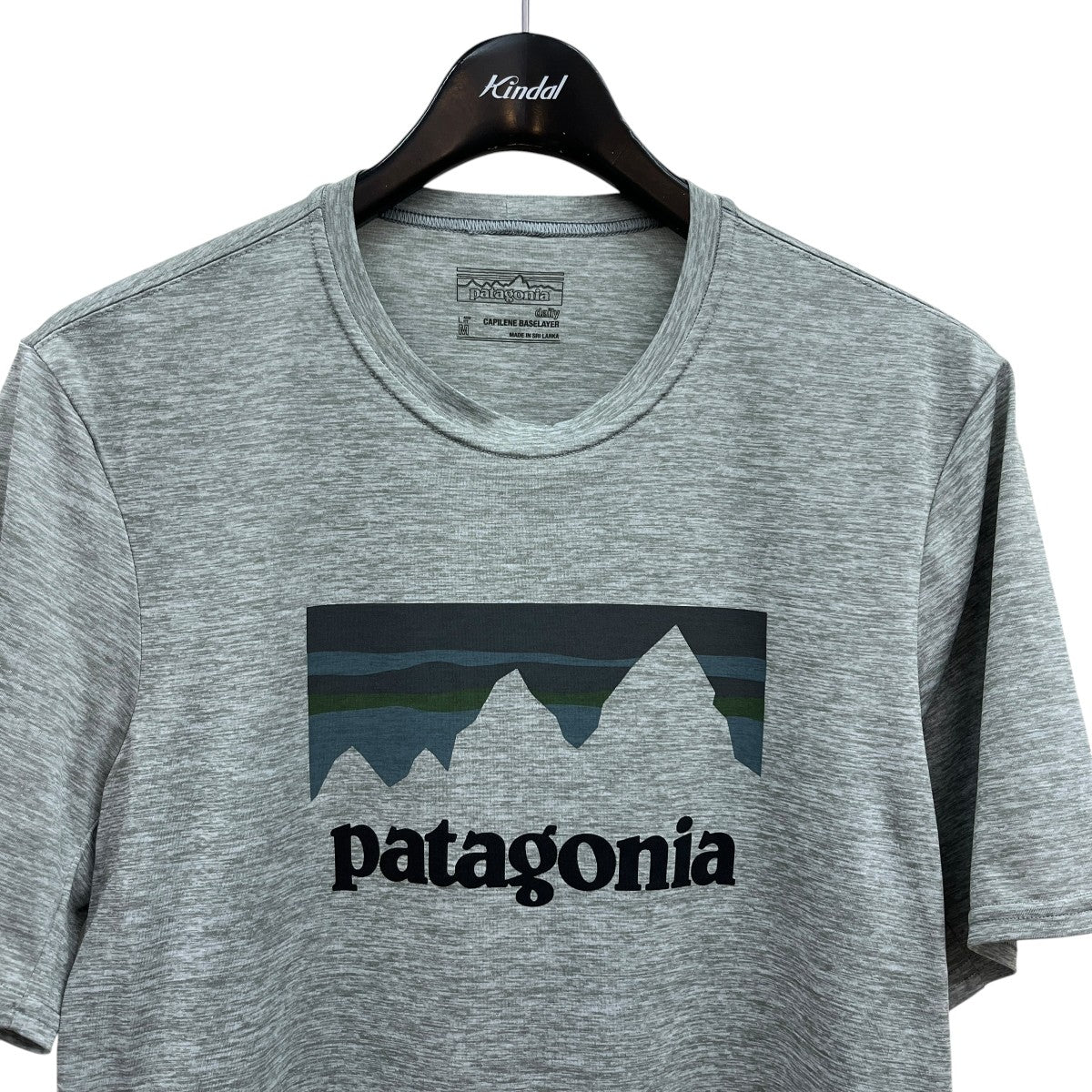 Patagonia 半袖Tシャツ 古着・中古-3枚目のアイテム画像