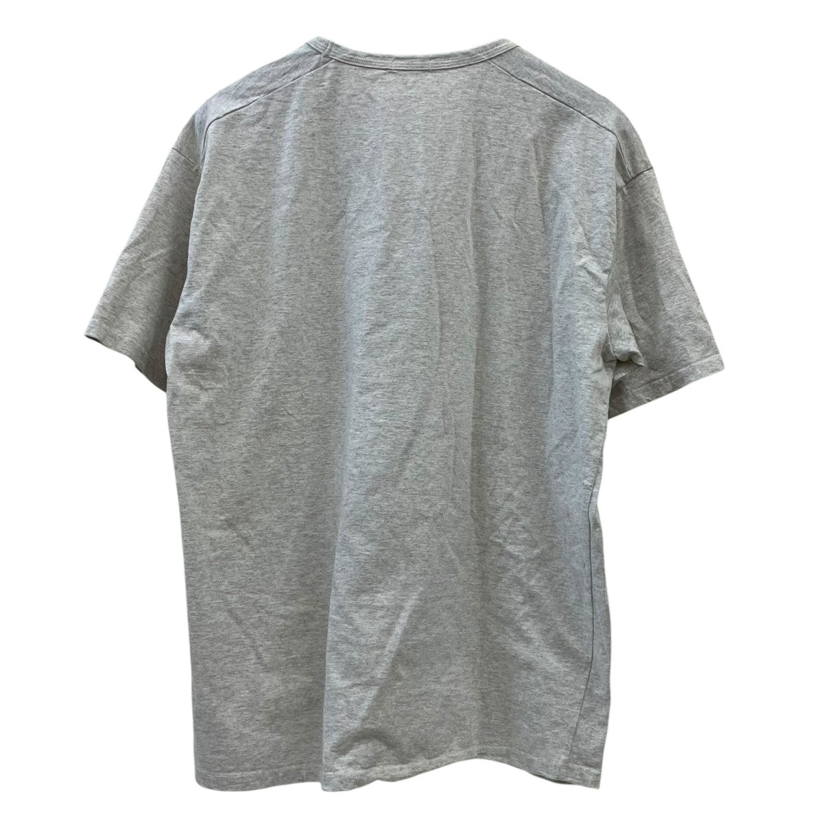 20SSPLANTS IN WIND Tシャツ半袖Tシャツ