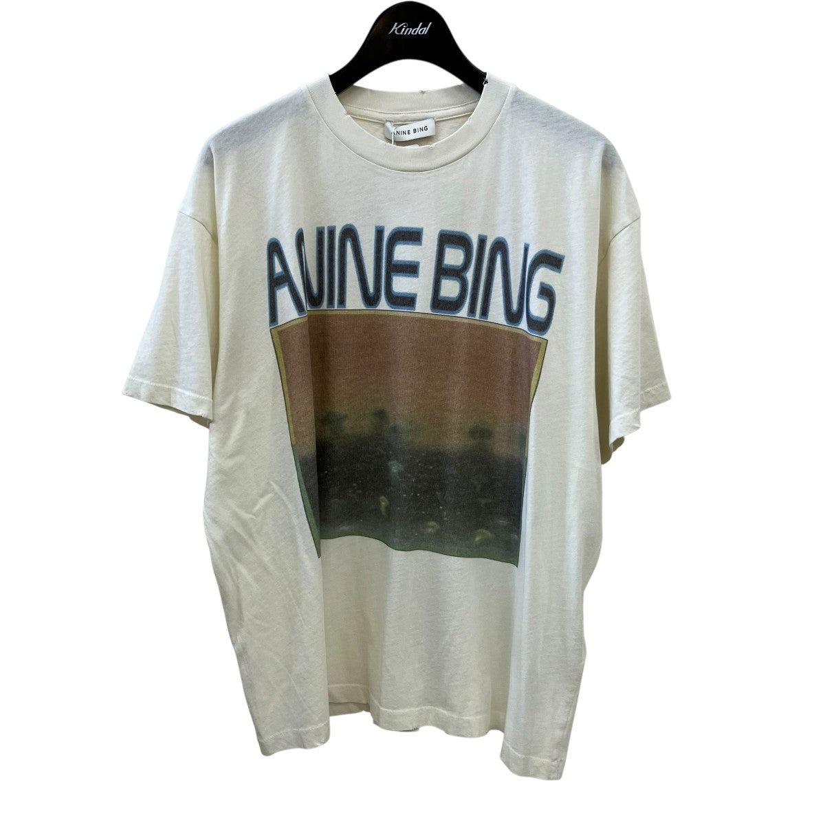 ANINE BING CADE TEEダメージ加工Tシャツ26070510001410 古着・中古-1枚目のアイテム画像