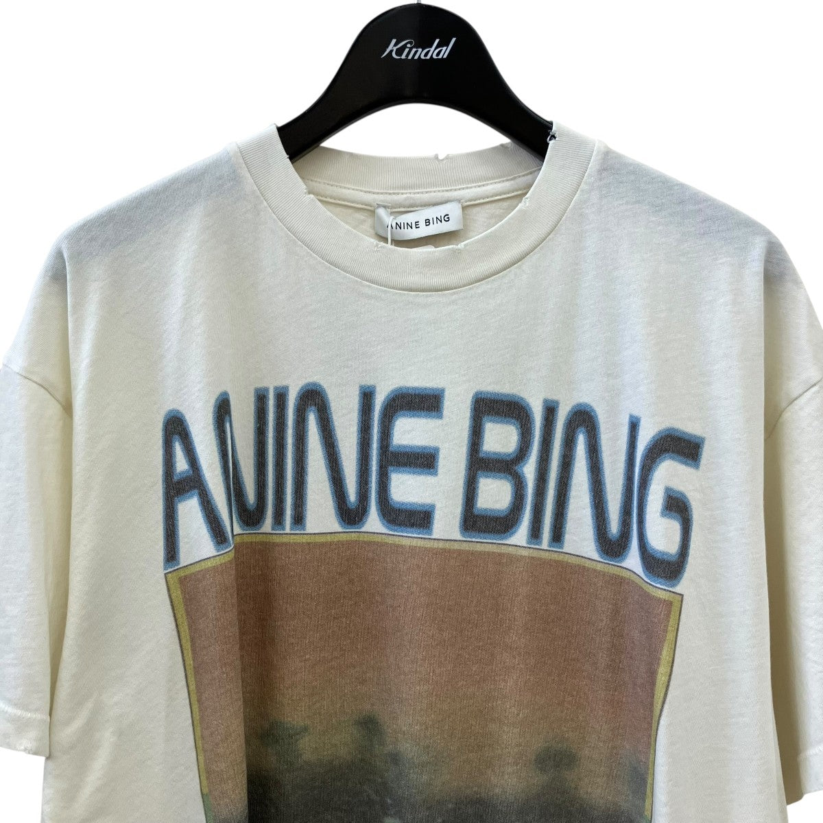 ANINE BING CADE TEEダメージ加工Tシャツ26070510001410 古着・中古-3枚目のアイテム画像