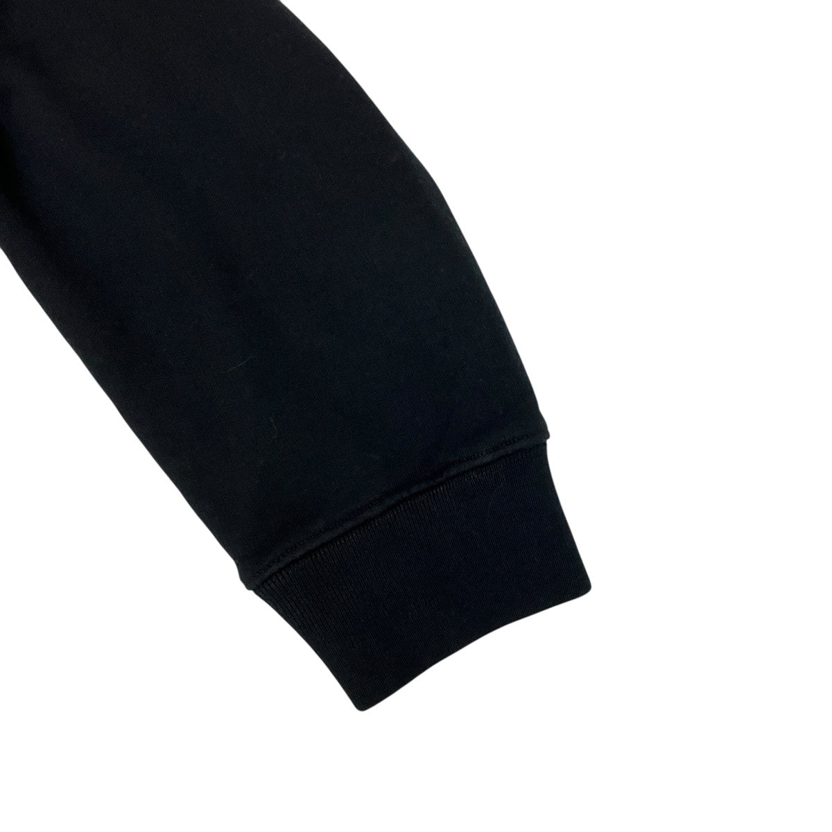 20AWPASCAL PRINT SLIM HOODIEプルオーバーパーカー