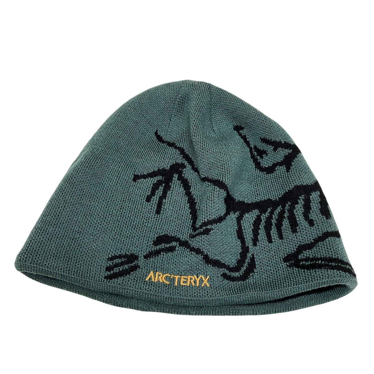 ARC’TERYX BIRD HEAD TOQUEニットキャップ 古着・中古-1枚目のアイテム画像