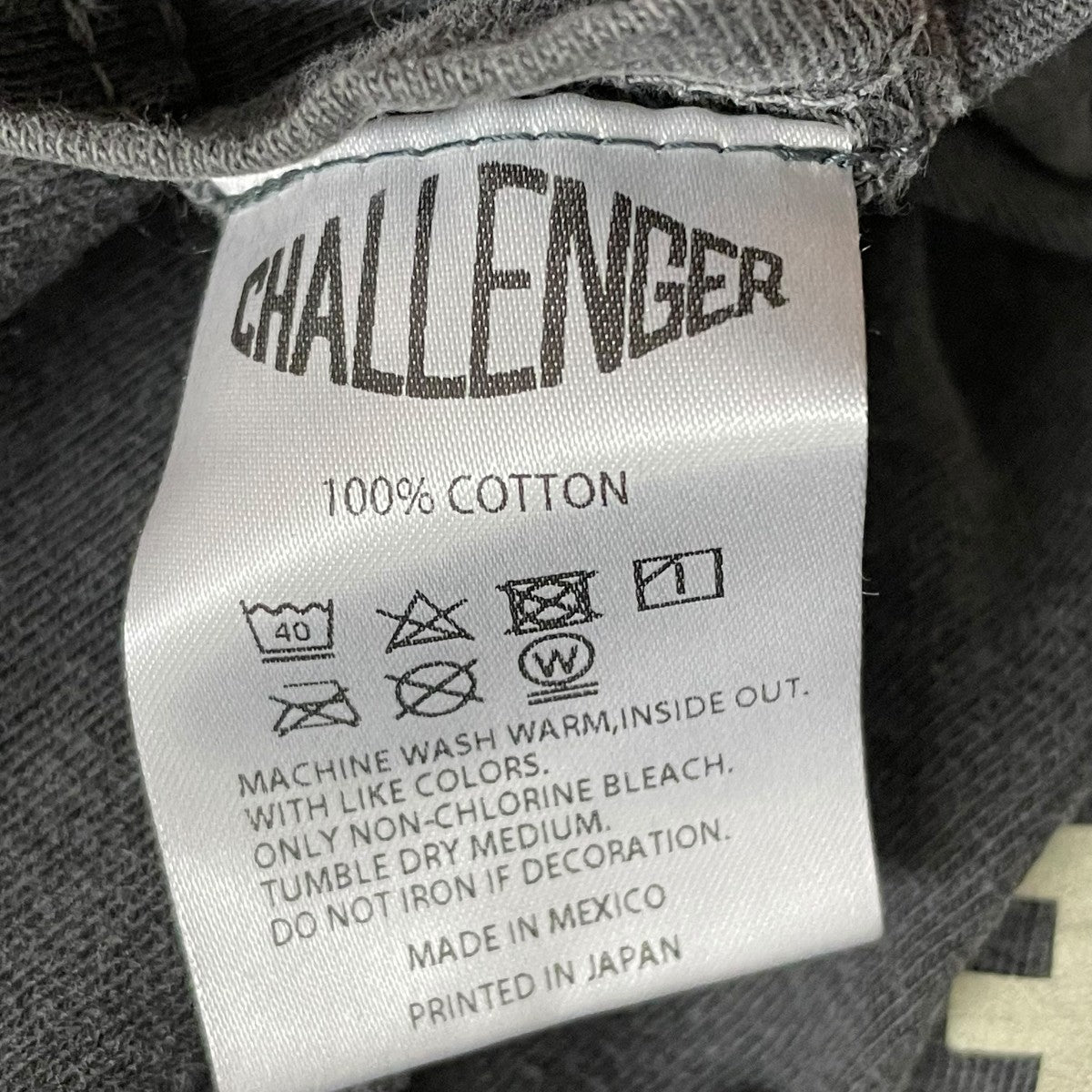 CHALLENGER BANDANALYZE 2023 TEE半袖カットソー 古着・中古-5枚目のアイテム画像