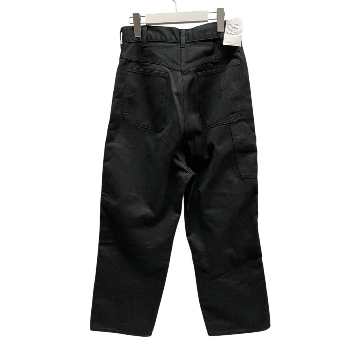 CTN will Painter Pants Stone Bio PTLM-145-SB