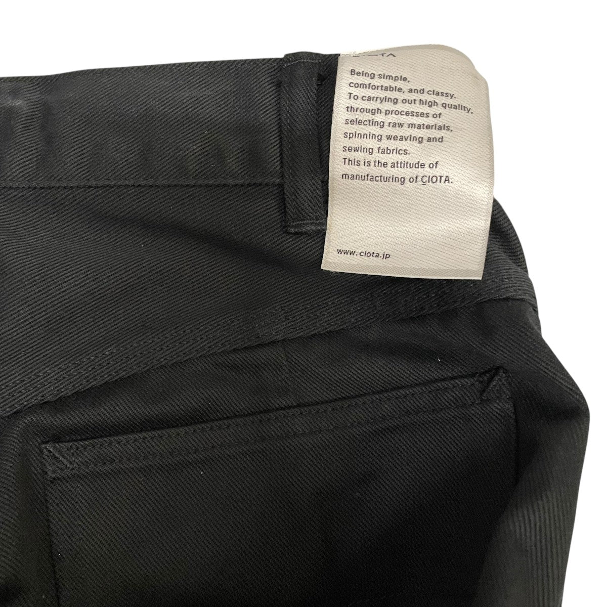 CTN will Painter Pants Stone Bio PTLM-145-SB