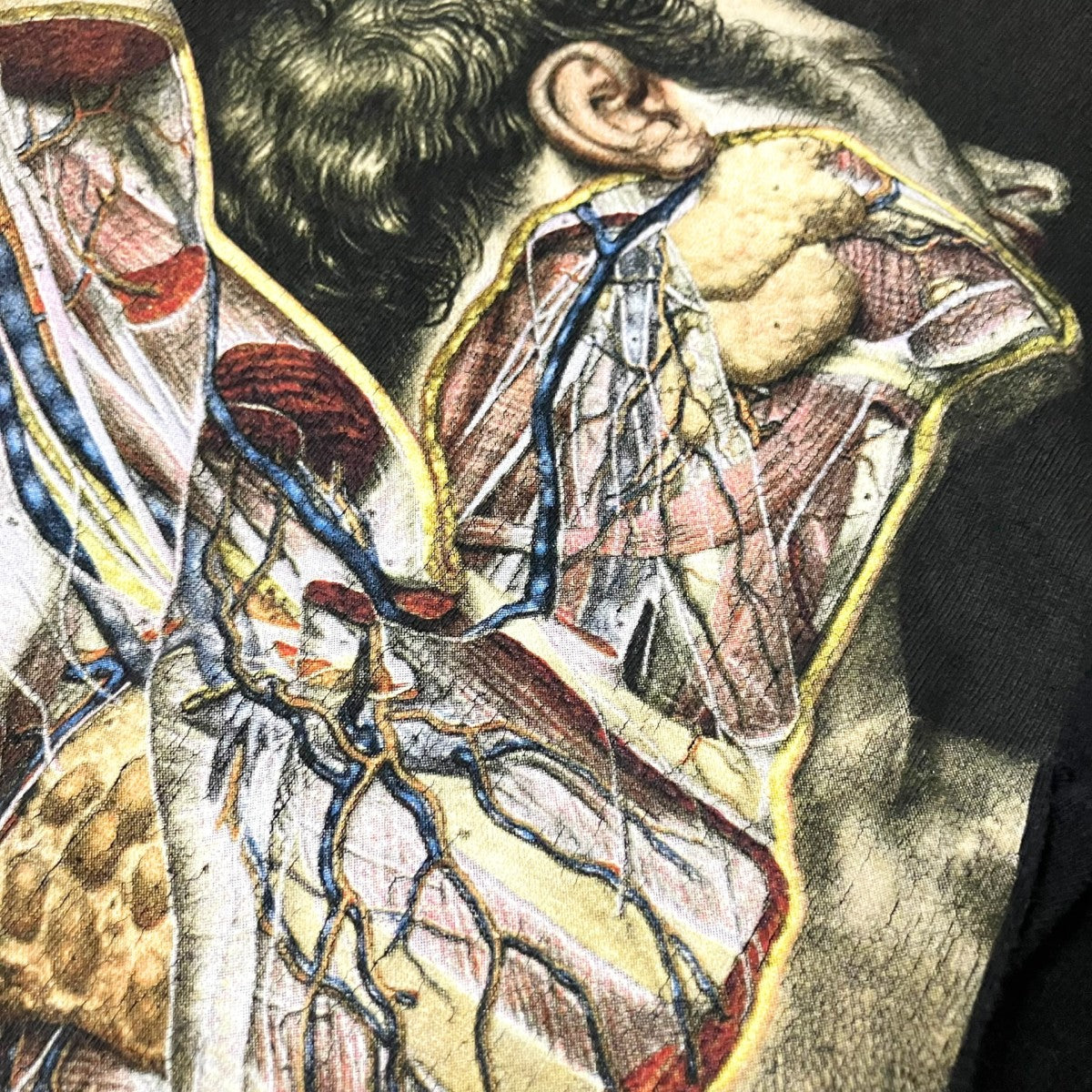 Supreme×UNDERCOVER Anatomy Tee半袖Tシャツ 古着・中古-6枚目のアイテム画像
