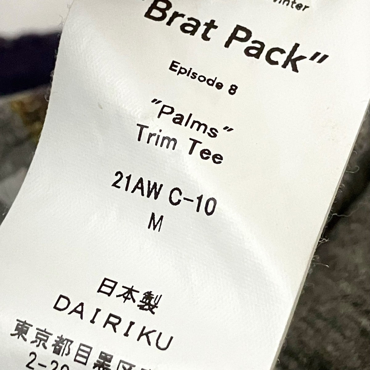 DAIRIKU 21AWPalms Trim TeeプリントTシャツC10 古着・中古-5枚目のアイテム画像