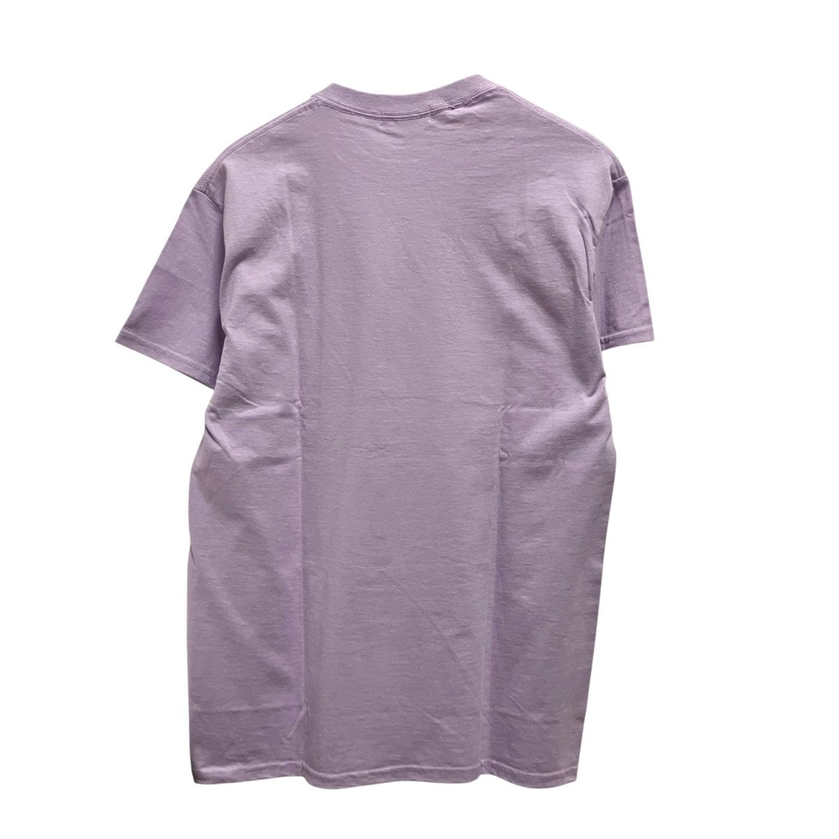 FLAGSTUFF×BEAMS プリントTシャツ20SS EVA FS BEAMS 02 古着・中古-2枚目のアイテム画像