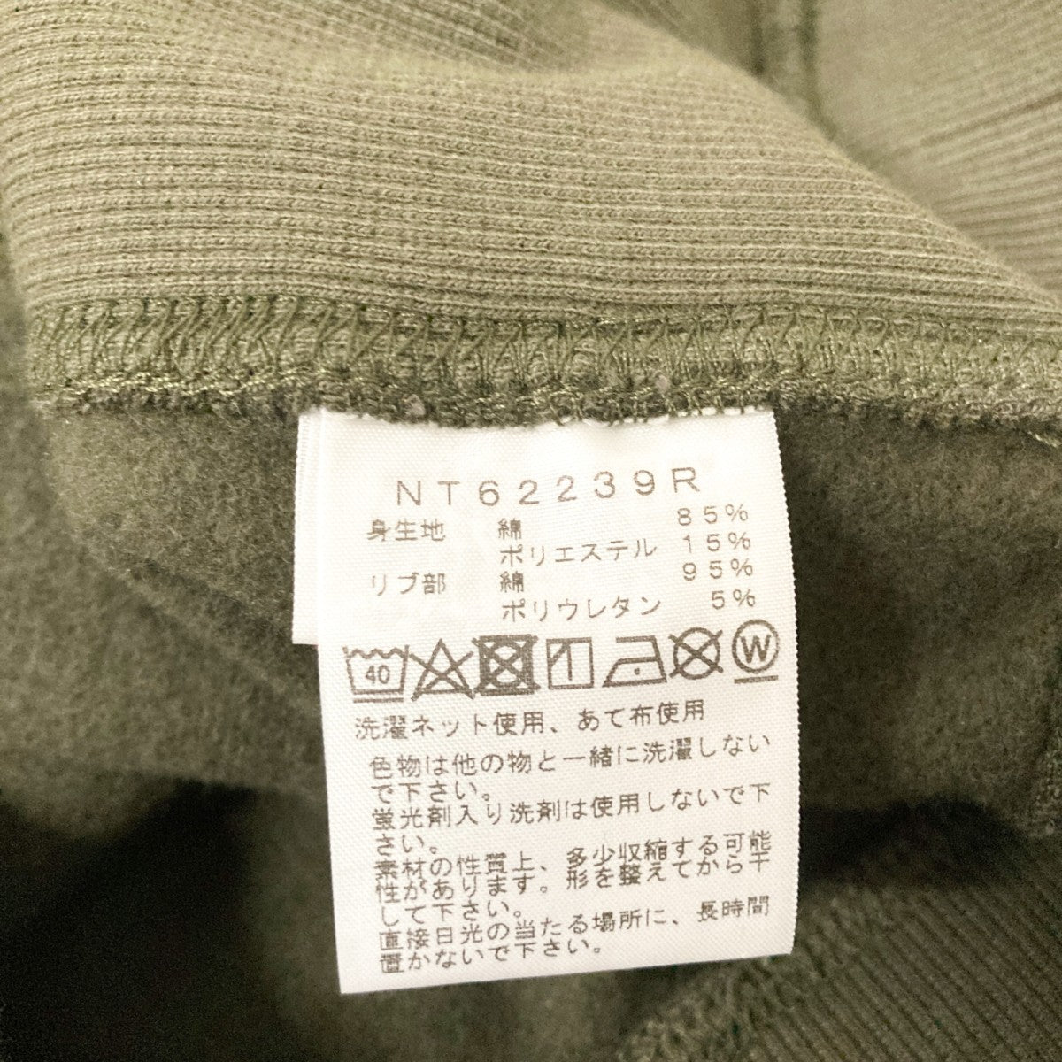 Nuptse Sweat HoodieプルオーバーパーカーNT62239R