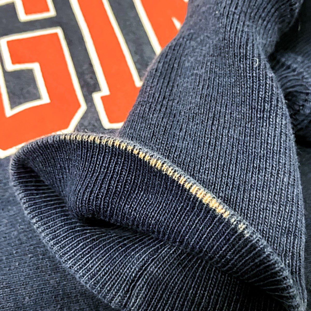 Champion 90SVIRGINIAプリントスウェット 古着・中古-7枚目のアイテム画像