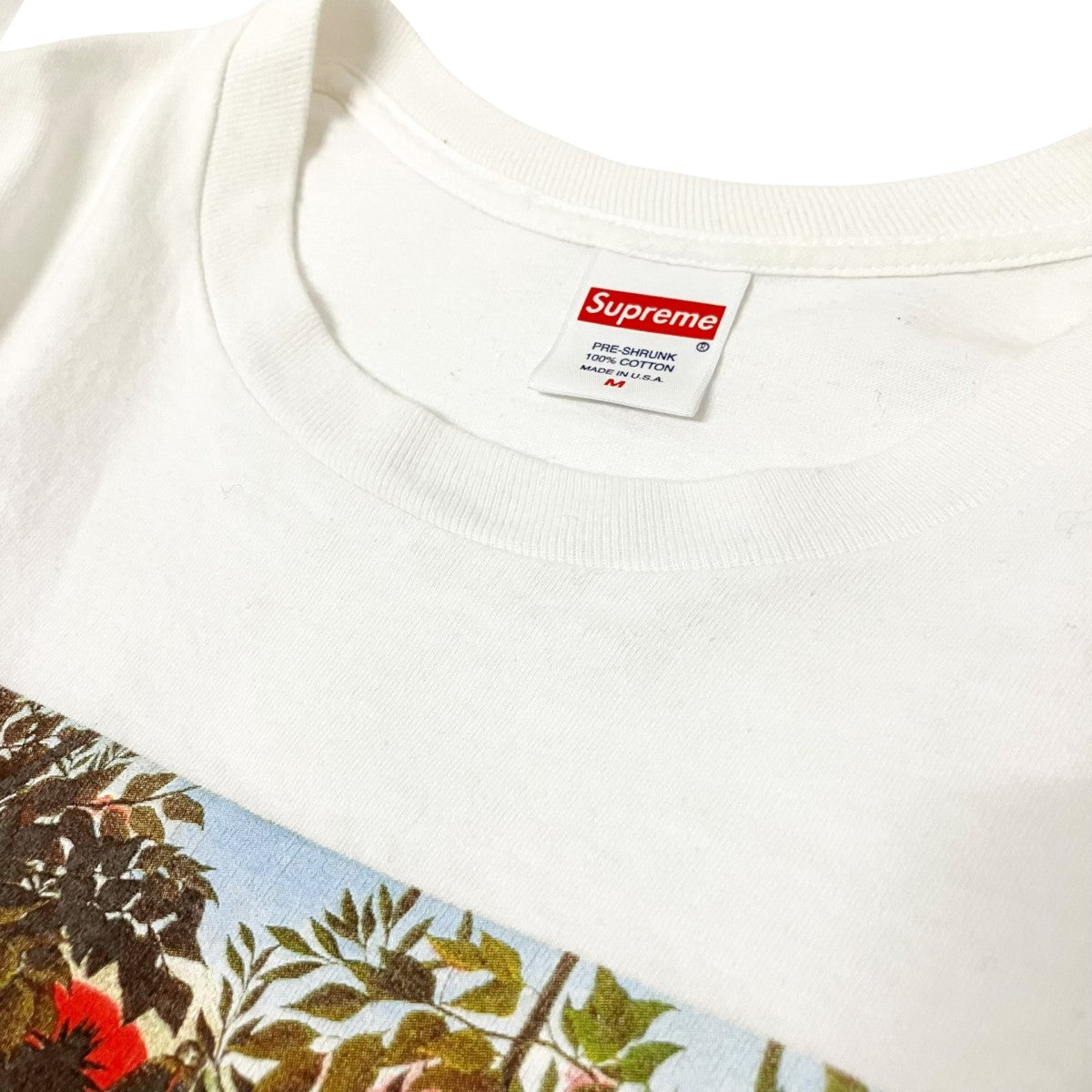 Supreme Masterpieces Tee半袖Tシャツ 古着・中古-3枚目のアイテム画像