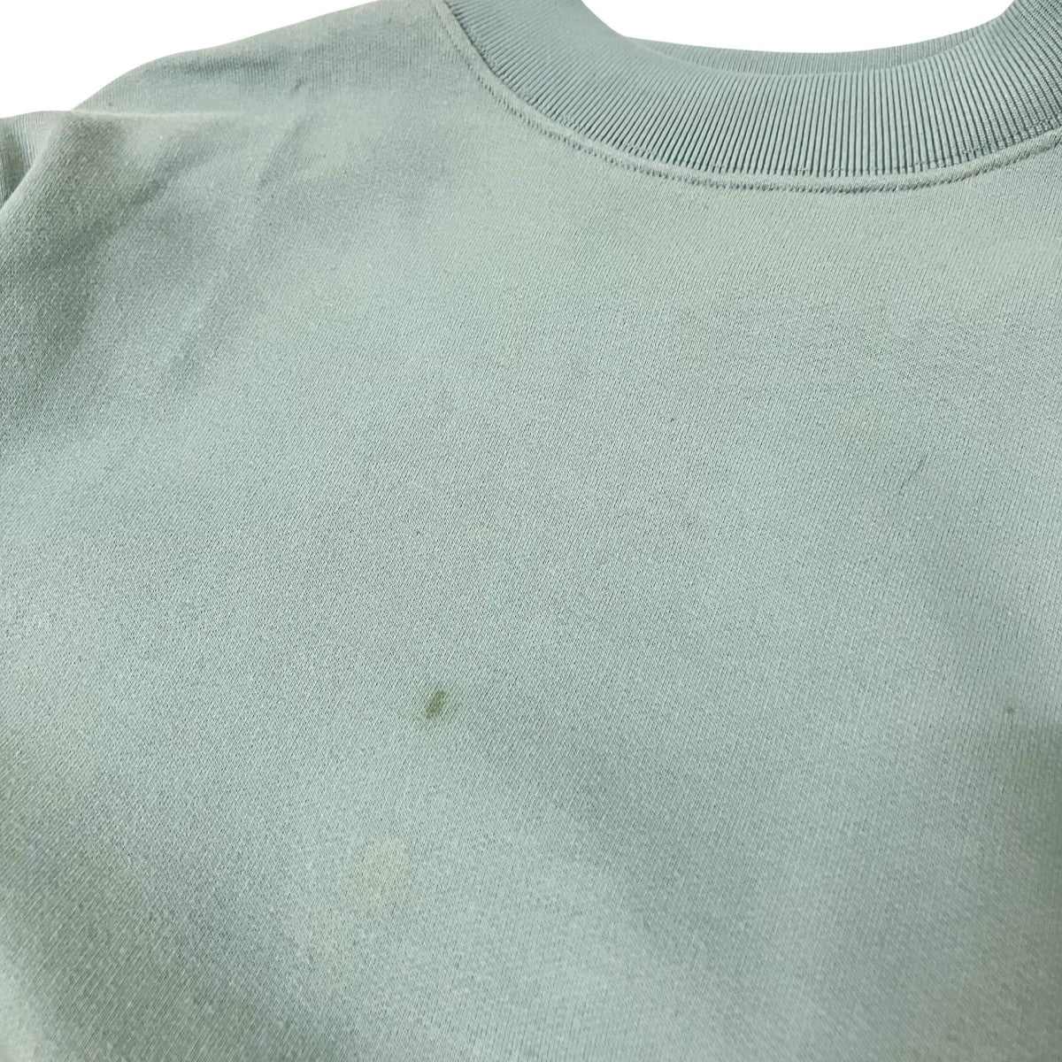 ACNE STUDIOS BIRD U FLEECEスウェットトレーナー 古着・中古-4枚目のアイテム画像