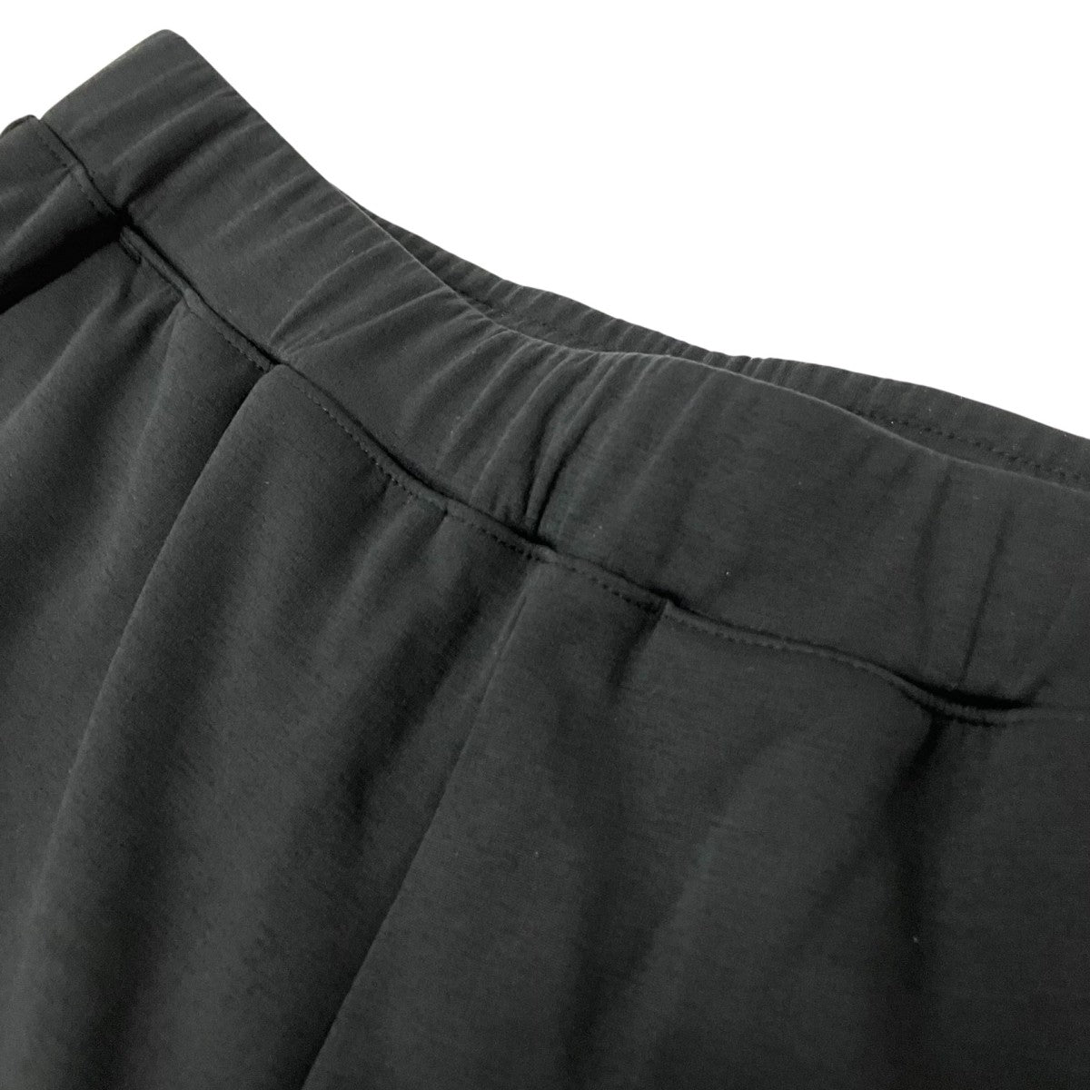 THE NORTH FACE Motion Jogger PantイージーパンツNB12595 古着・中古-3枚目のアイテム画像