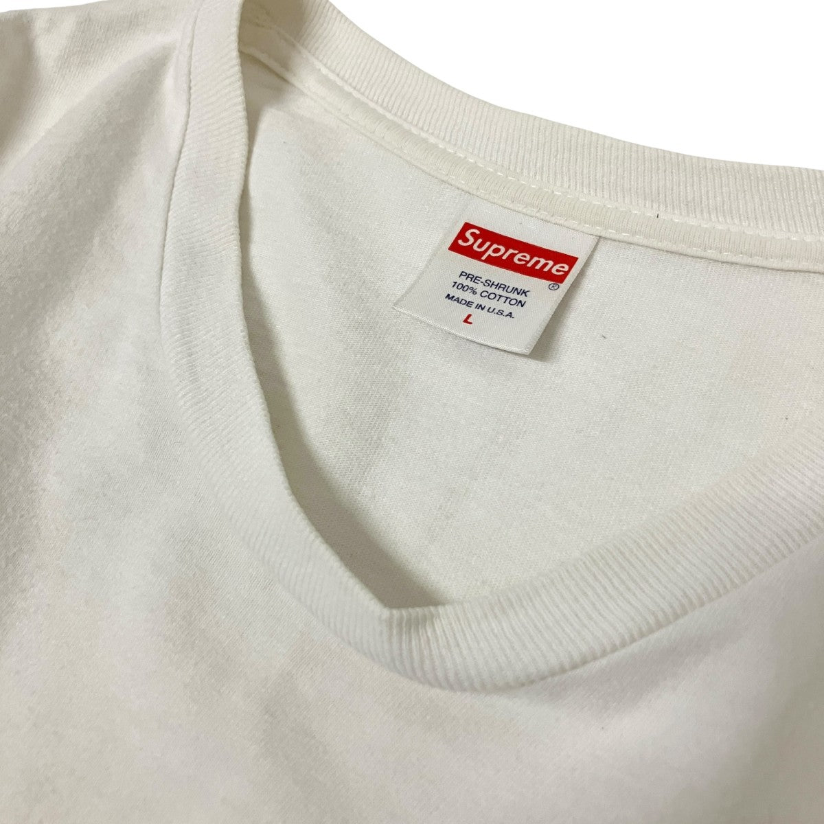 Dinosaur Tee半袖Tシャツ