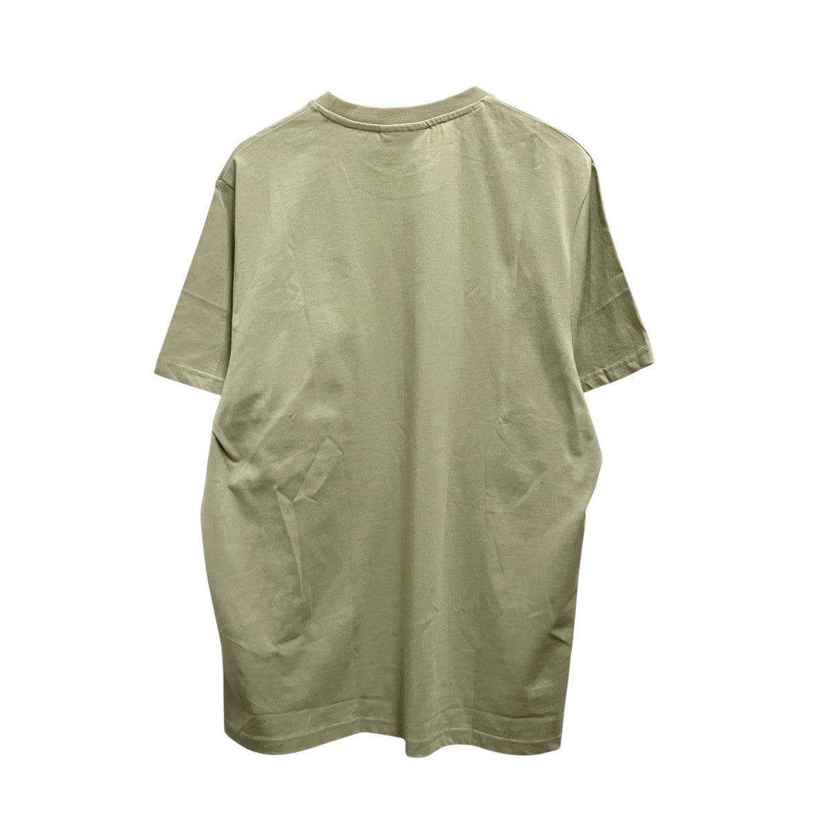 ワンポイントTシャツHARU0011252