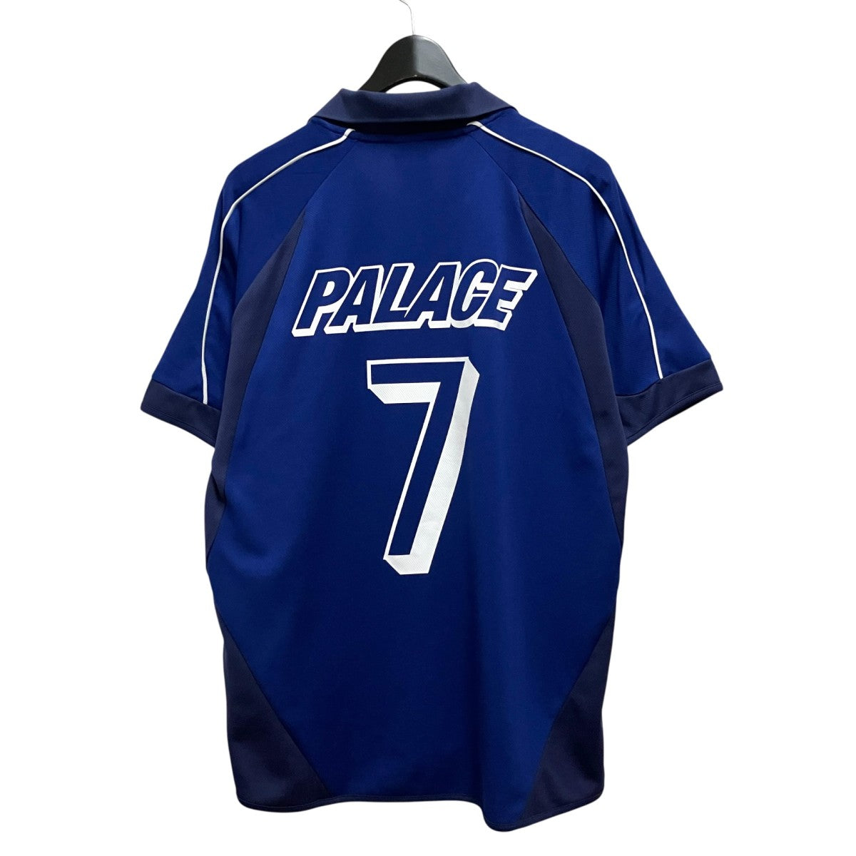 PALAIS PRO-TEAM JERSEY半袖Tシャツ