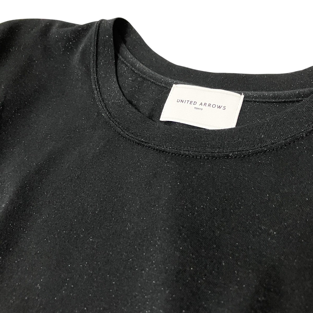 ラメ Tシャツ1517 2 412538
