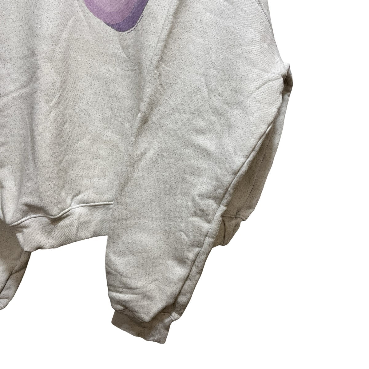 ALEXANDER WANG(アレキサンダーワン) グラフィック スウェット