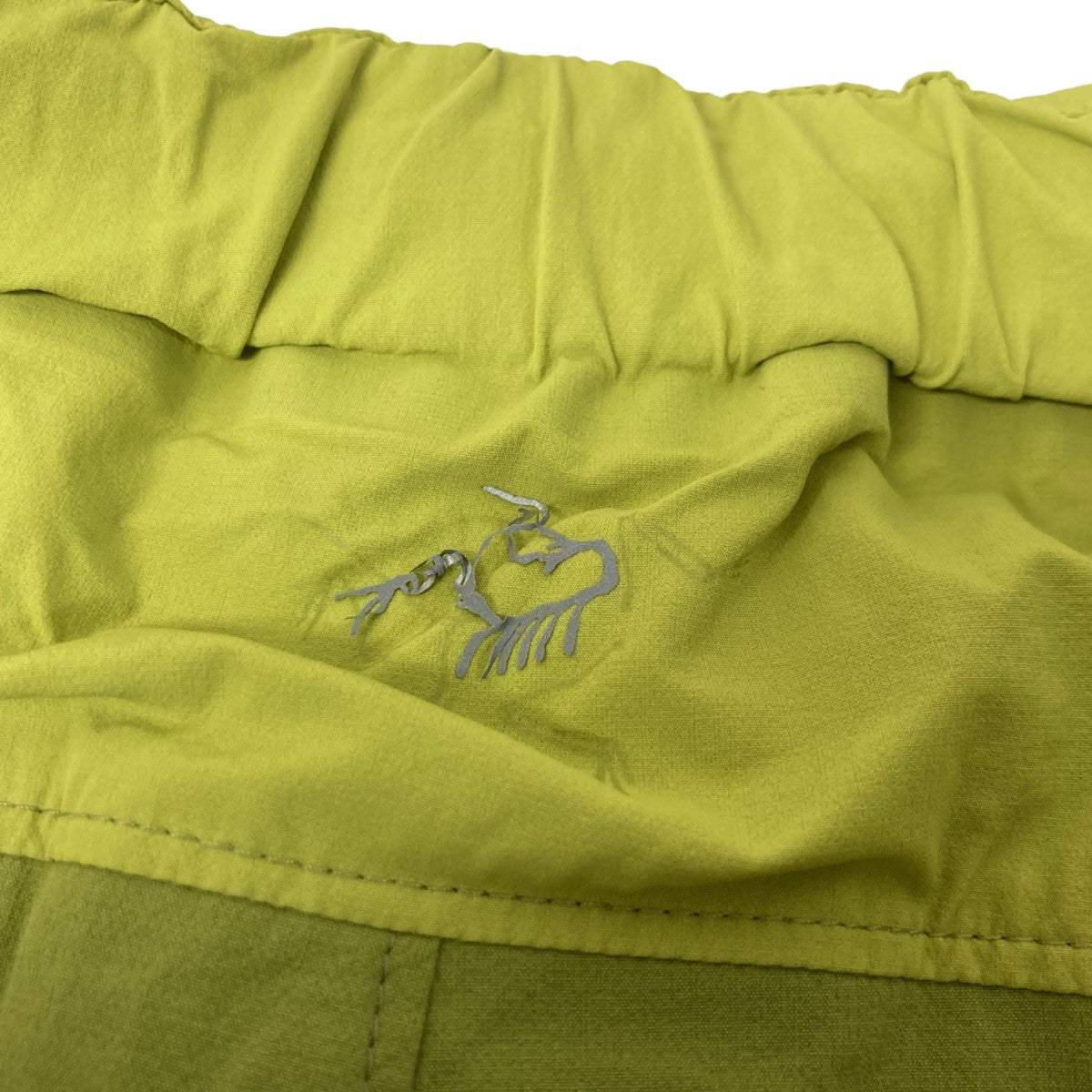 ARC'TERYX(アークテリクス) PALTZ CARGO PANTカーゴパンツ イエロー