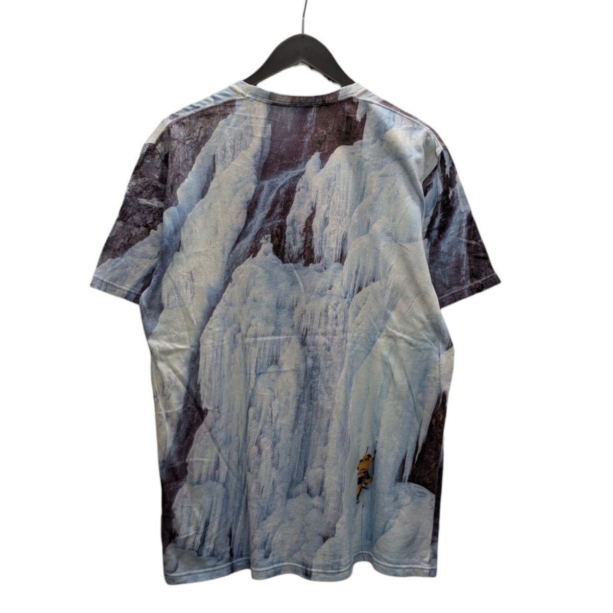 Supreme キャメル柄 Tシャツ Lサイズ　初期　総柄 camels Supreme キャメル柄 Tシャツ Lサイズ 初期 総柄 camels