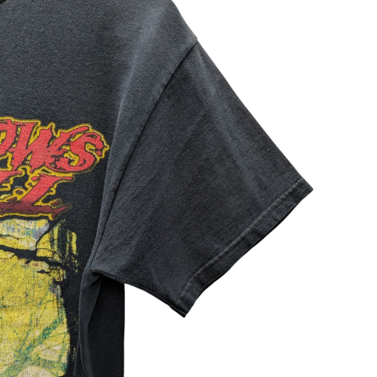 NO BRAND(ノーブランド) SHADOWS FALL Tシャツ ブラック サイズ
