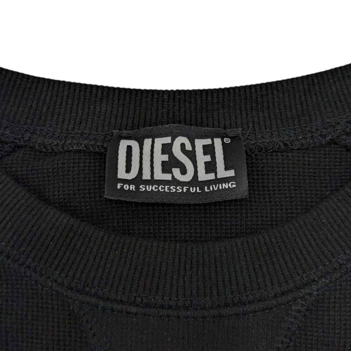 DIESEL(ディーゼル) S-RAGLAN-WAFロゴスウェットA17651 A17651