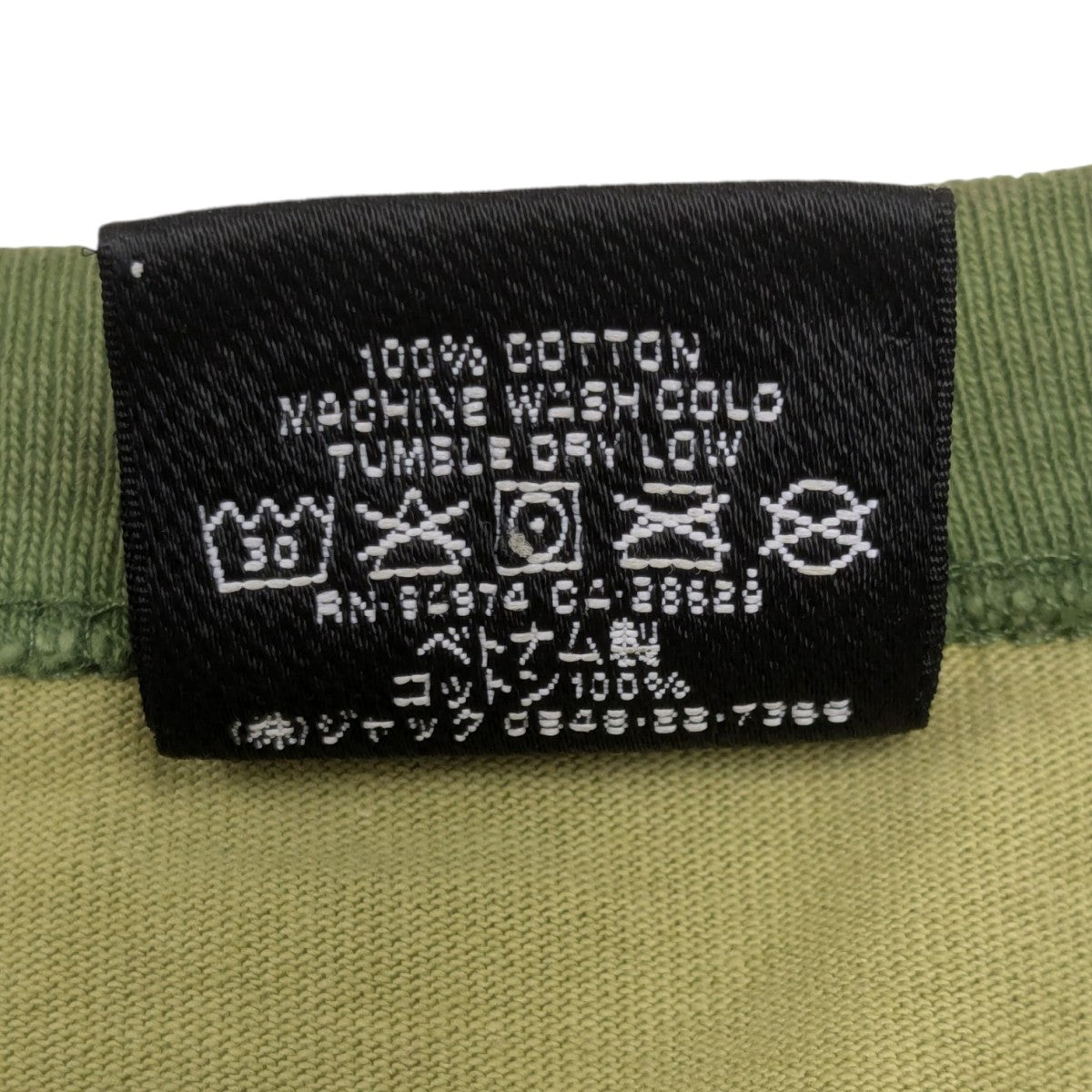 stussy(ステューシー) 24SScript Tee CamoカモフラTシャツ グリーン