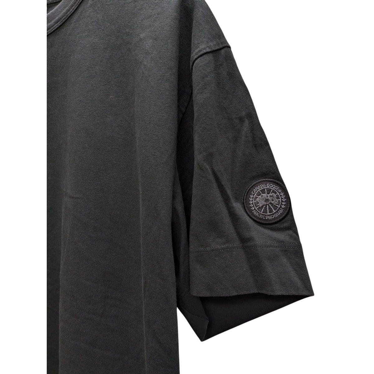 CANADA GOOSE グラッドストーン リラックス Tシャツ 古着・中古-3枚目のアイテム画像