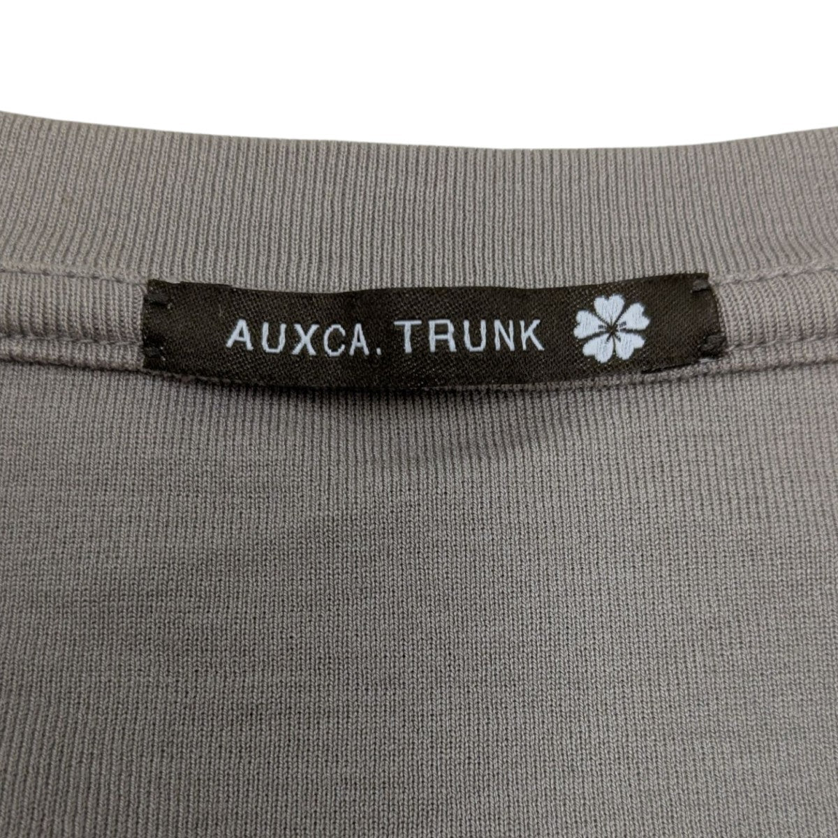 AUXCA TRUNK Tシャツ 古着・中古-7枚目のアイテム画像