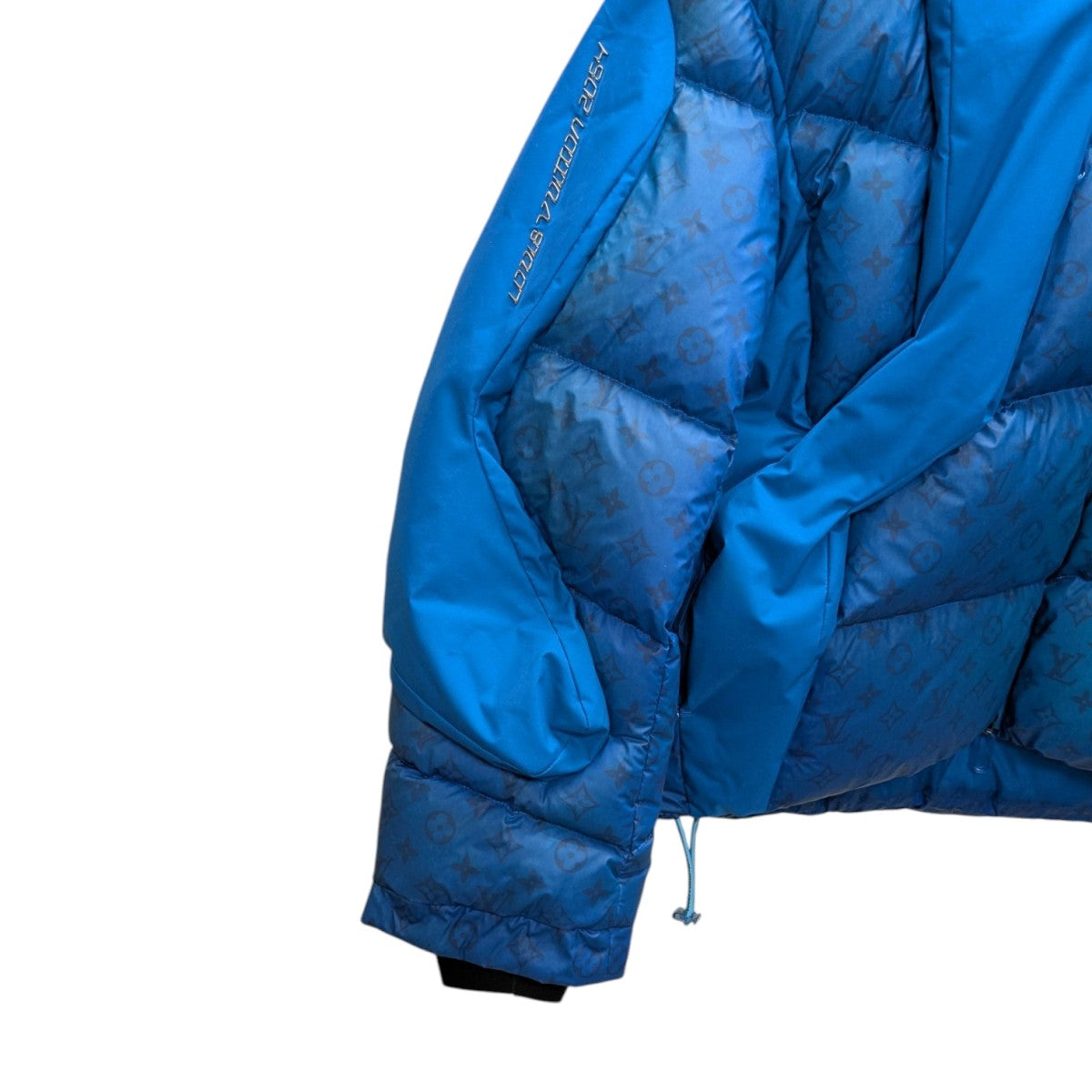 LOUIS VUITTON(ルイヴィトン) ヒートリアクティブダウンジャケット