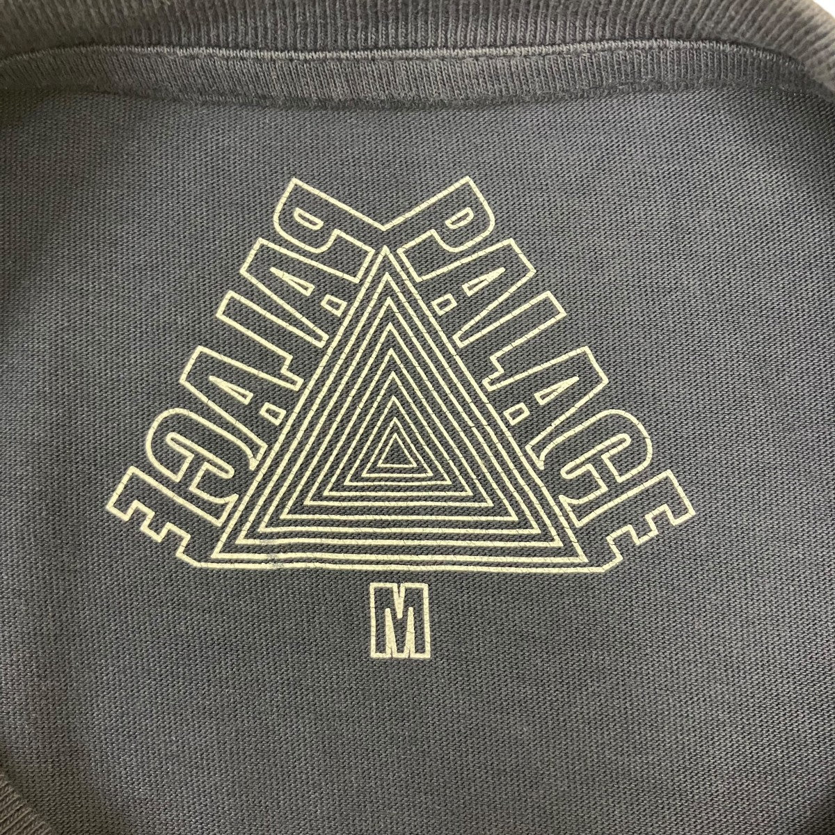 PALACE プリントTシャツ 古着・中古-5枚目のアイテム画像