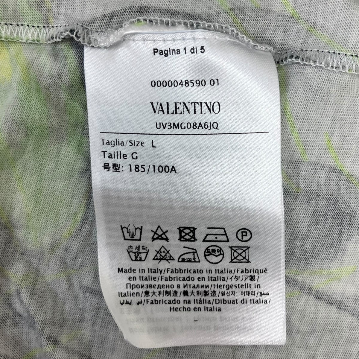 グラフィックTシャツ