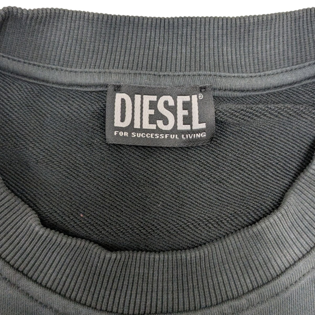 DIESEL(ディーゼル) S-GINN-ERO クルーネックスウェット A17664