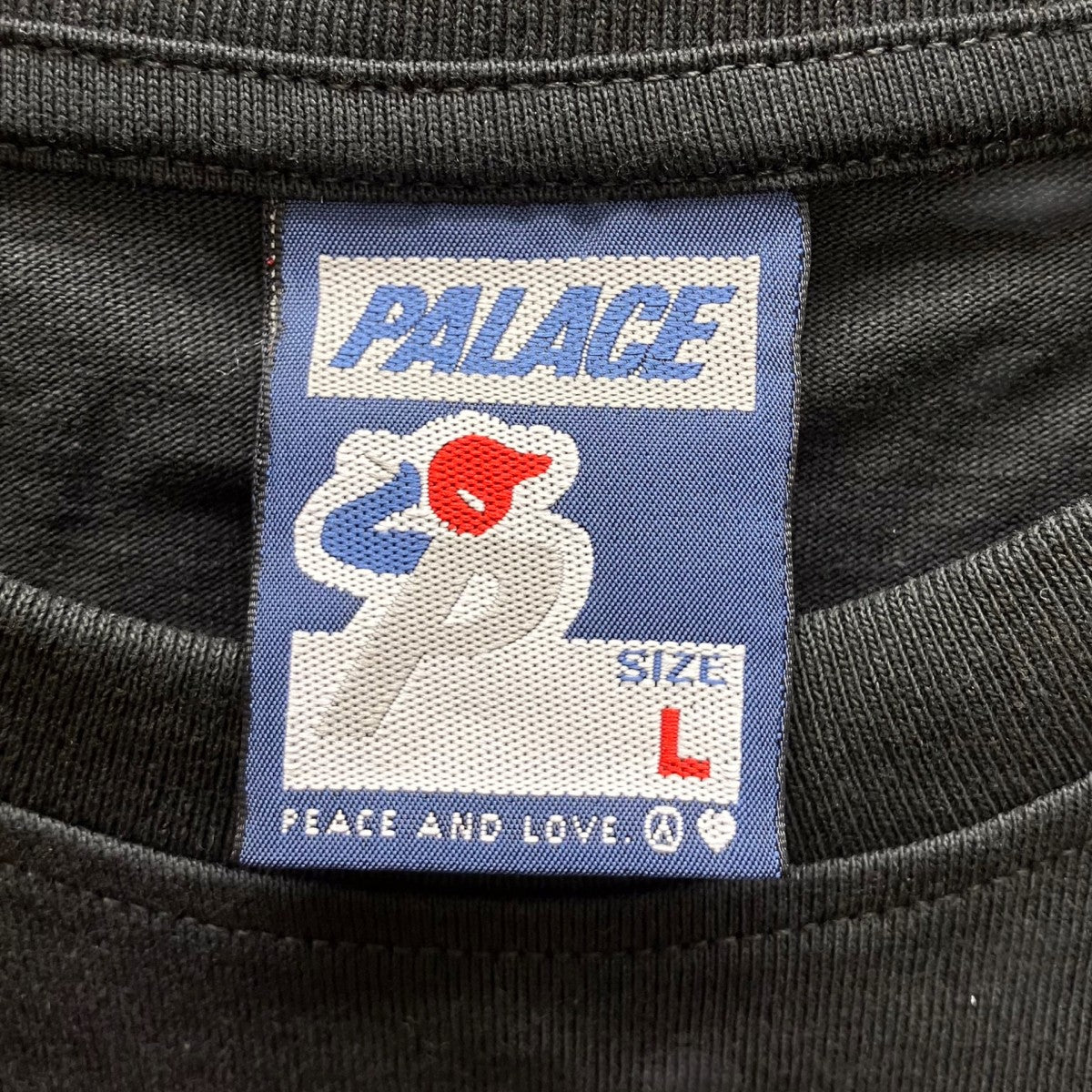 25FW PALACE COLLEGE T-SHIRT半袖Tシャツ