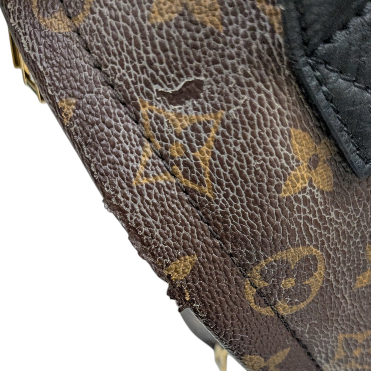 LOUIS VUITTON パームスプリングス バックパック 古着・中古-7枚目のアイテム画像