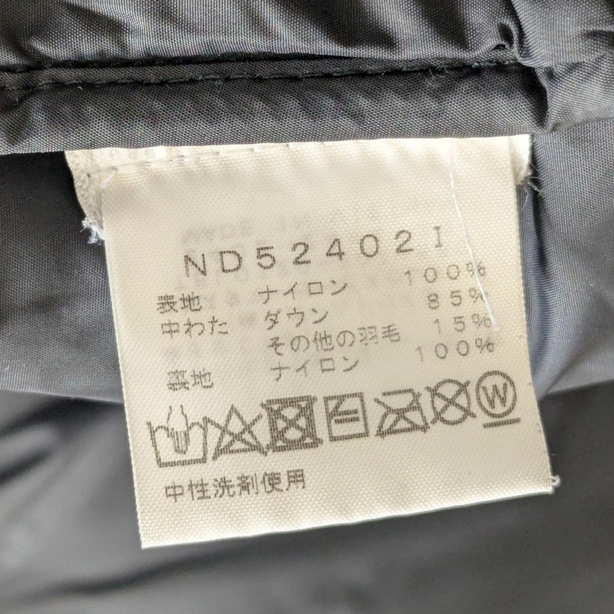 Raymond Pettibon Nuptse ダウンジャケット