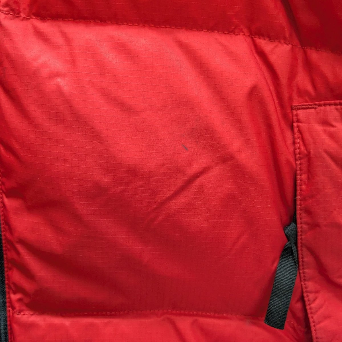 Raymond Pettibon Nuptse ダウンジャケット