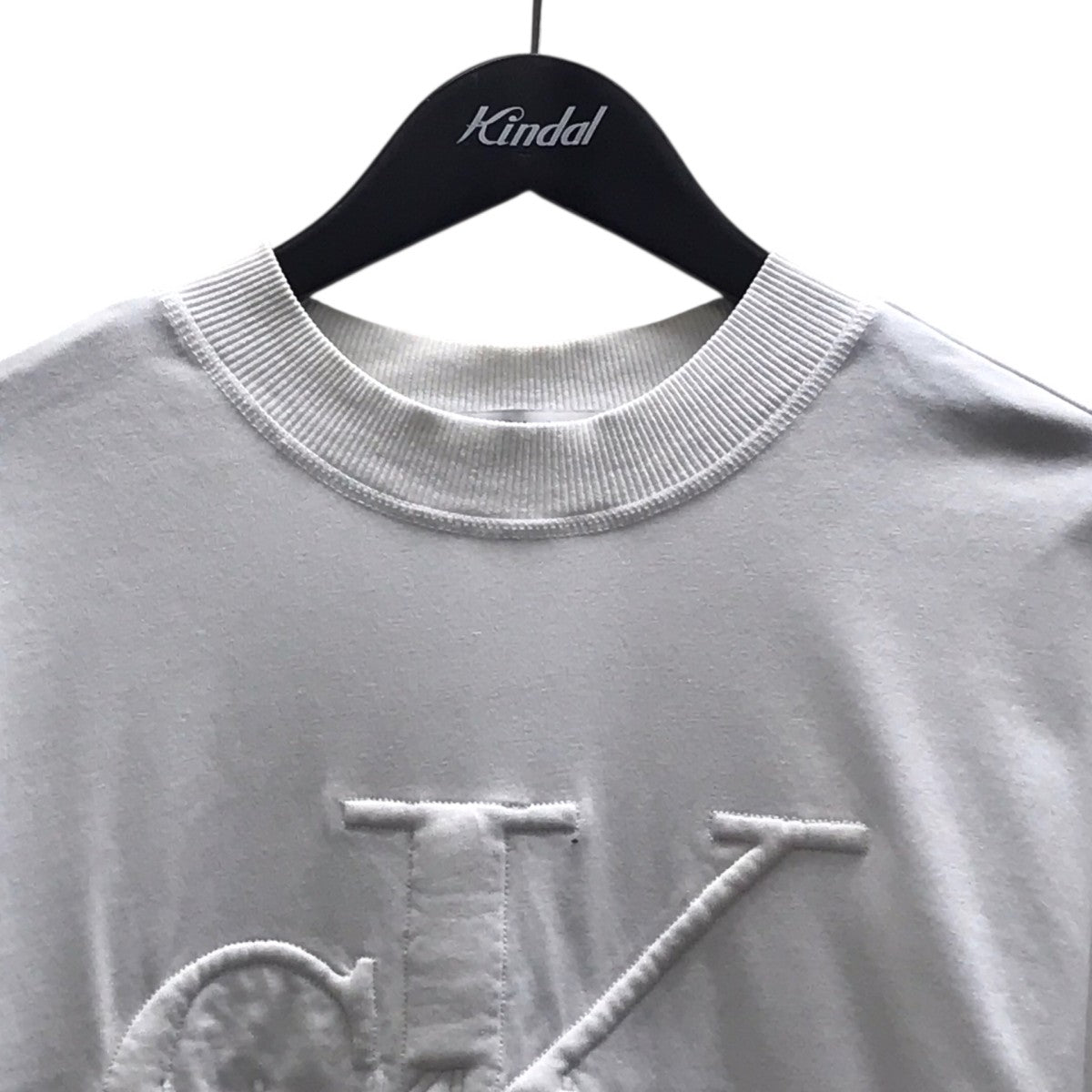 ビッグロゴTシャツ