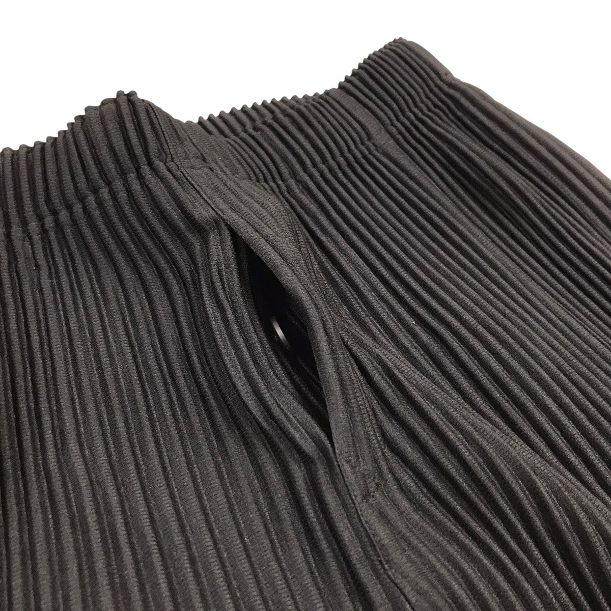 ISSEY MIYAKE(イッセイミヤケ) プリーツパンツ HP53JF302 ブラック