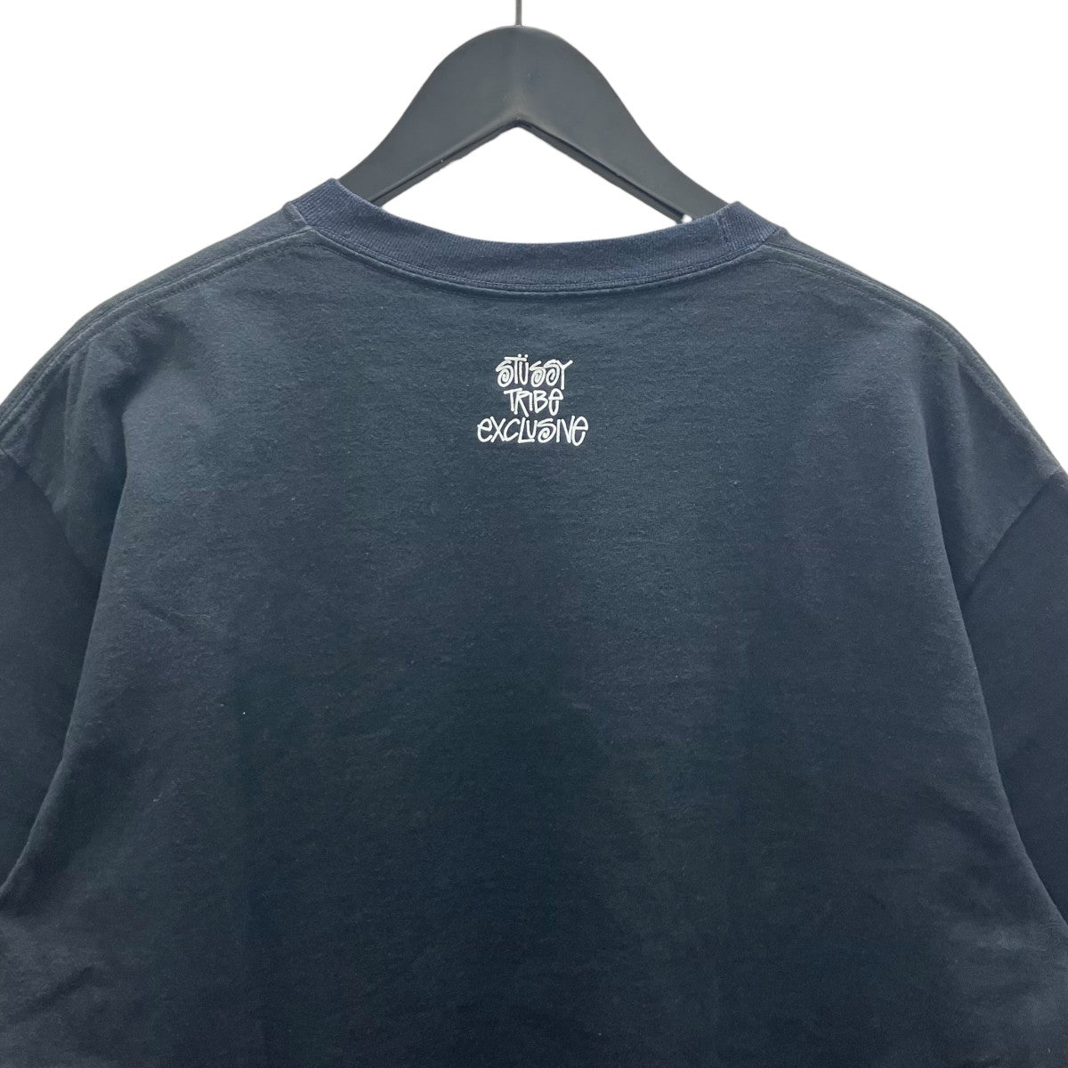 stussy(ステューシー) TRIBE EXCLUSIVE TEEプリントTシャツ ブラック